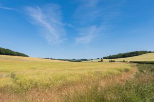 The surrounding Chilterns - click for photo gallery